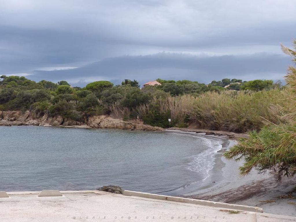 183 D18 PRESQU ILE DE GIENS 1_000021.jpg
